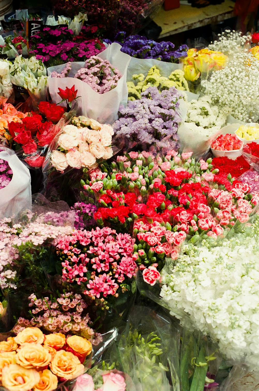 Direção visual para floricultura